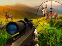 Дикий охотник на оленей: находить цель, чтобы стрелять в животных