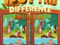 Найди отличия на картинках с животными - детская головоломка
